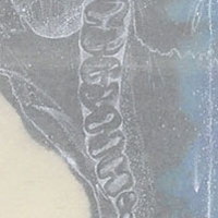 Night Skull White (Kangaroo)
